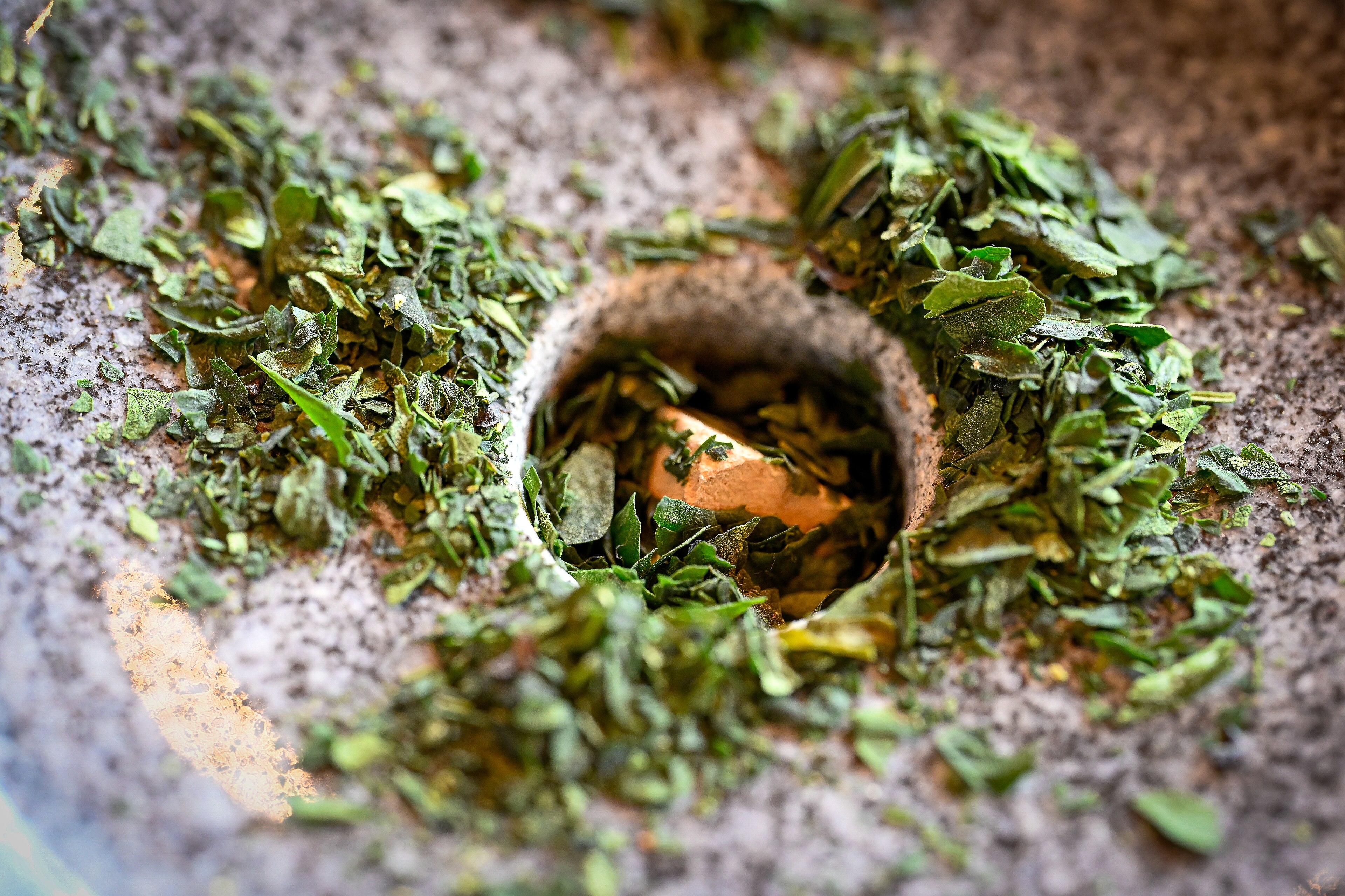 Matcha production process