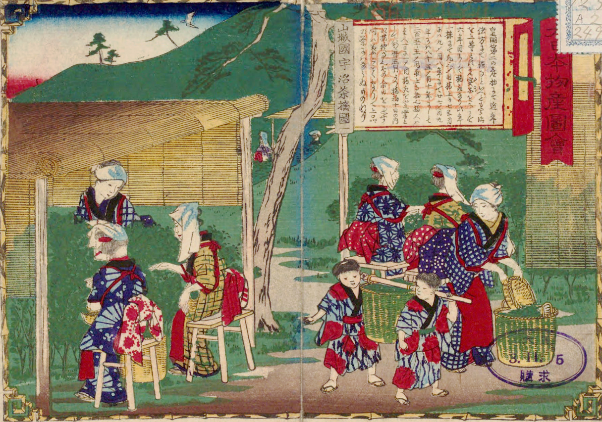 Matcha traditions